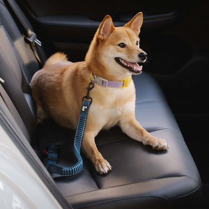Briar - Adjustable Reflective Dog Car Seat Belt in Nylon