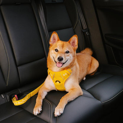 Briar - Adjustable Reflective Dog Car Seat Belt in Nylon