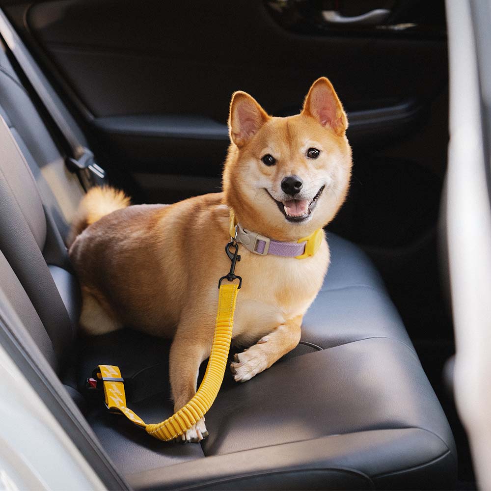 Briar - Adjustable Reflective Dog Car Seat Belt in Nylon