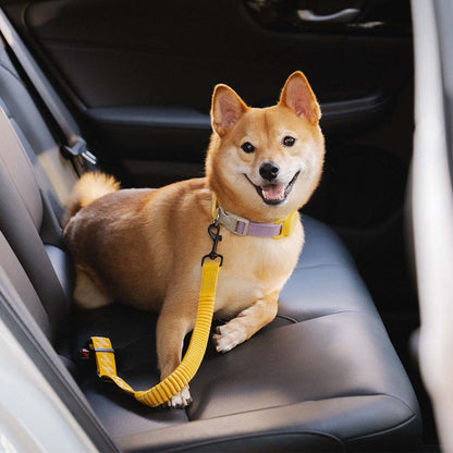 Briar - Adjustable Reflective Dog Car Seat Belt in Nylon