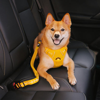 Briar - Adjustable Reflective Dog Car Seat Belt in Nylon