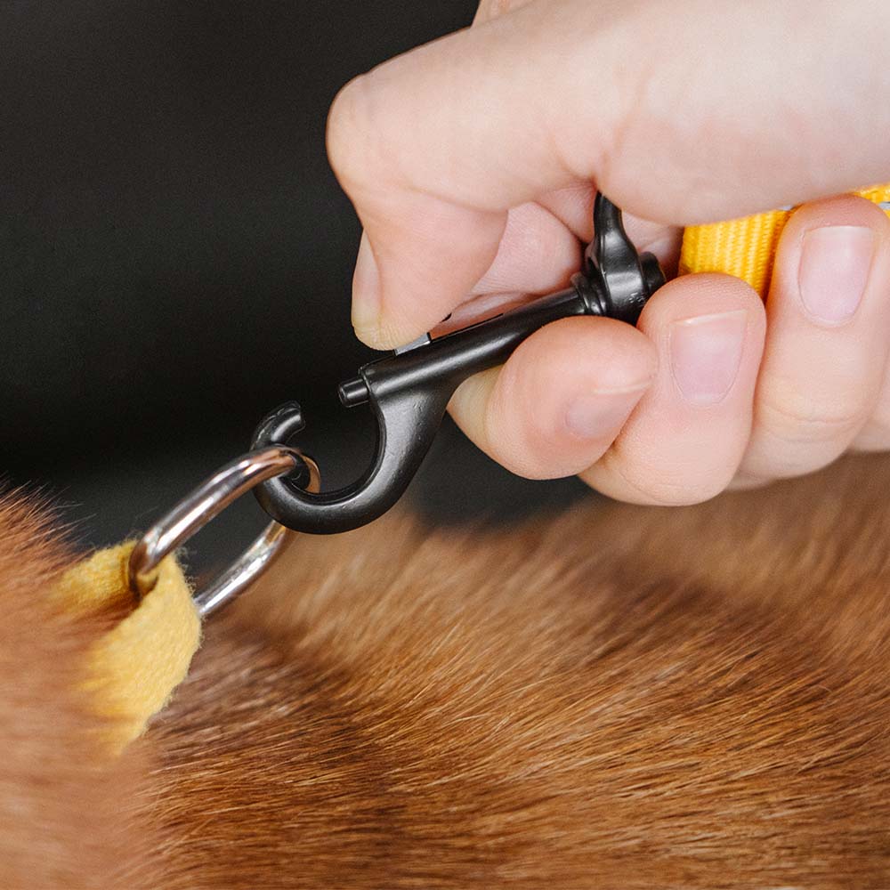 Briar - Adjustable Reflective Dog Car Seat Belt in Nylon