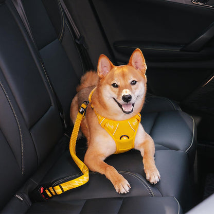 Briar - Adjustable Reflective Dog Car Seat Belt in Nylon