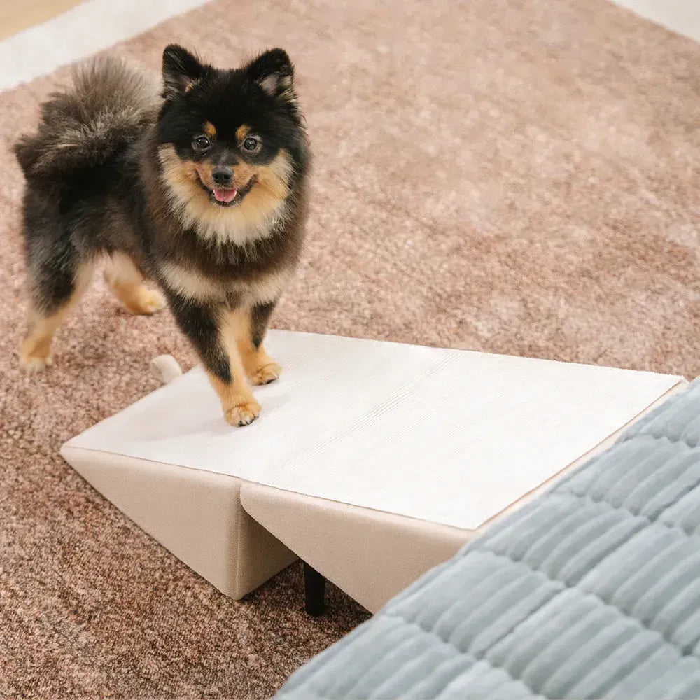 Thatch - 2-in-1 Convertible Dog Ramp and Step Stool