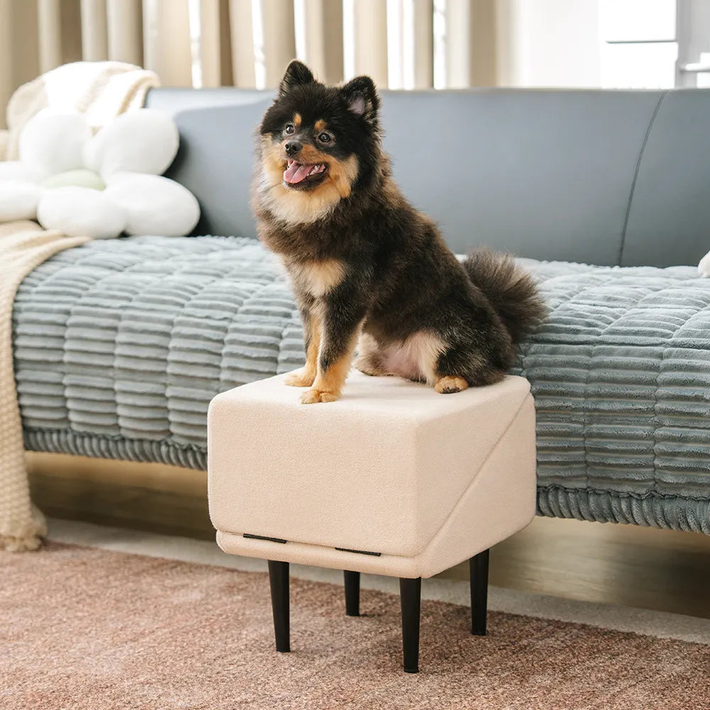 Thatch - 2-in-1 Convertible Dog Ramp and Step Stool