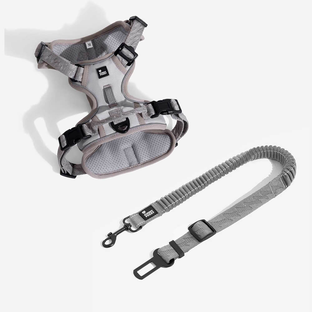 Briar - Adjustable Reflective Dog Car Seat Belt in Nylon
