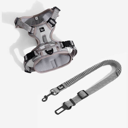 Briar - Adjustable Reflective Dog Car Seat Belt in Nylon