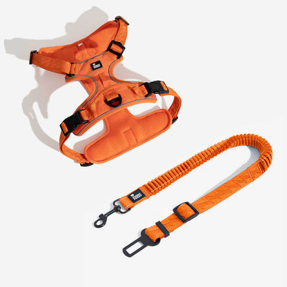 Briar - Adjustable Reflective Dog Car Seat Belt in Nylon
