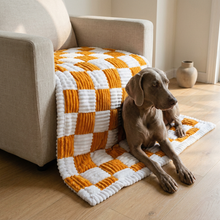 Weimaraner on plaid dog mat, living room, wide warm lifestyle shot