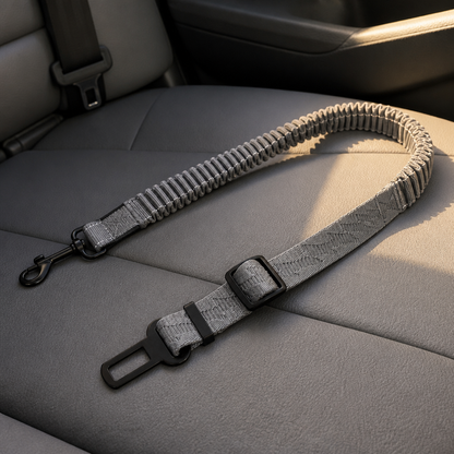 Dog car seat in car interior, warm light, tight editorial shot
