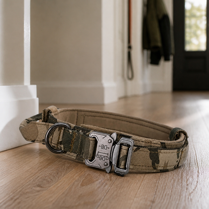 Dog lead styled in hallway, tight editorial shot, warm light