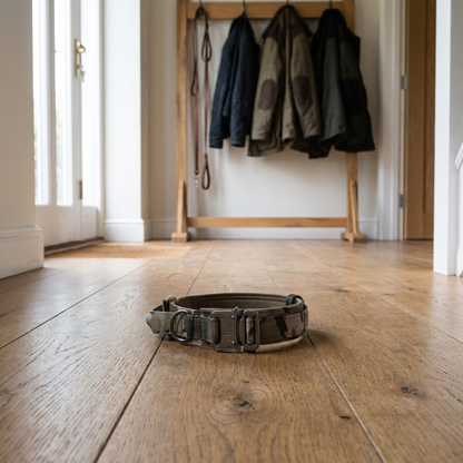 Dog lead laid flat in bright hallway, oak floor, natural daylight