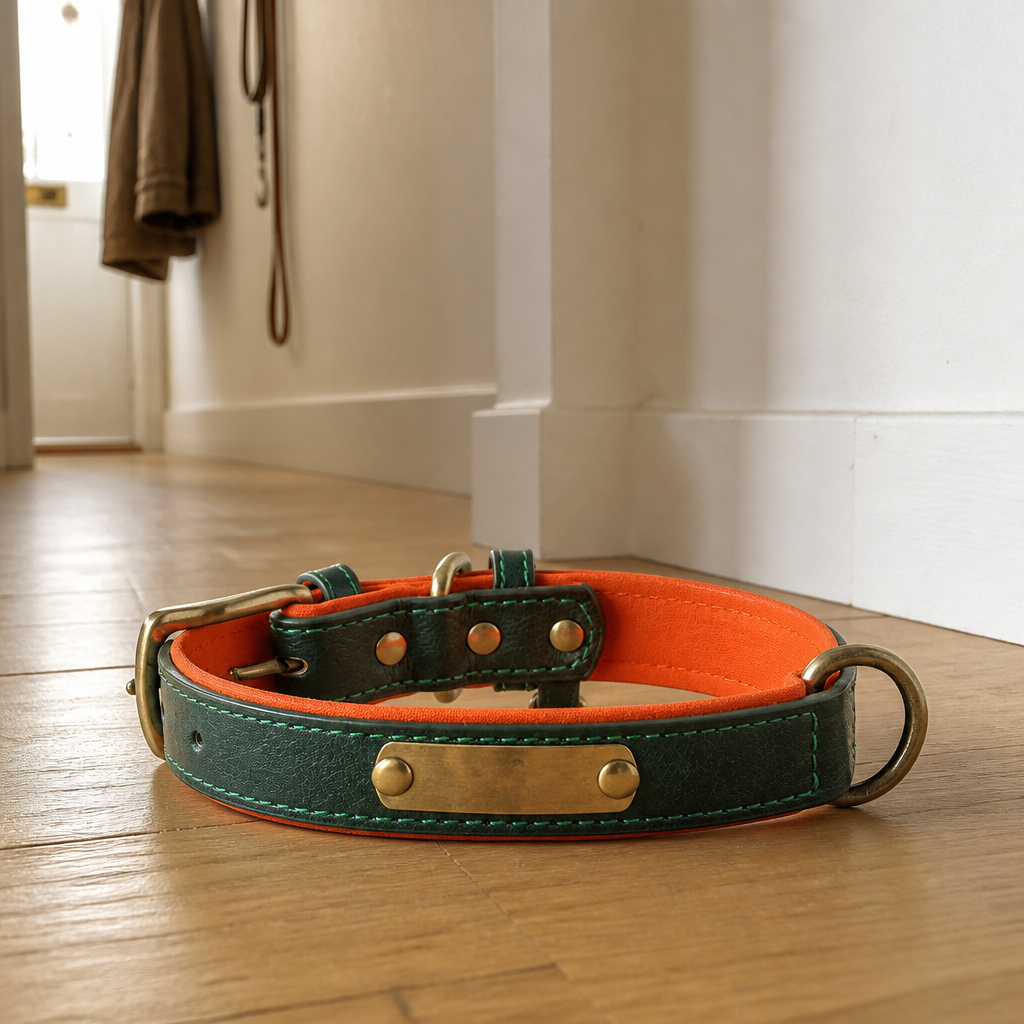 Ember engraved dog collar — product detail