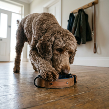 Fern engraved dog collar with Poodle