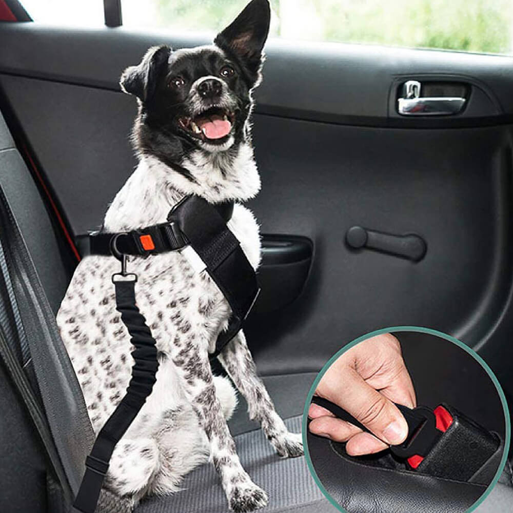 Briar - Adjustable Reflective Dog Car Seat Belt in Nylon