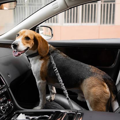 Briar - Adjustable Reflective Dog Car Seat Belt in Nylon