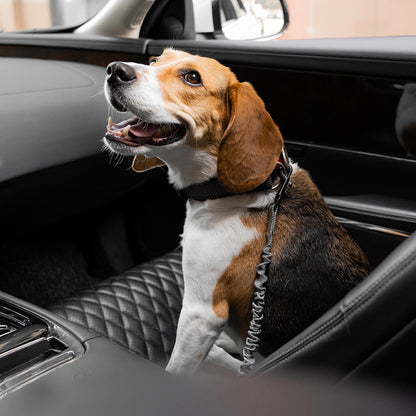 Briar - Adjustable Reflective Dog Car Seat Belt in Nylon