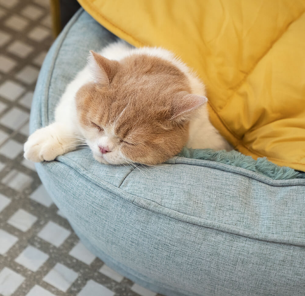 Hadley - Leaf-Shaped Dog Blanket in Cotton and Polyester