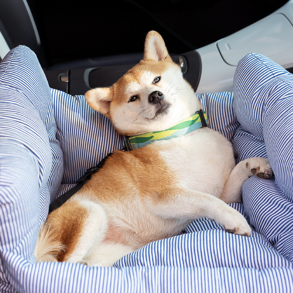 Grove - Portable Dog Car Booster Seat and Carrier Bag