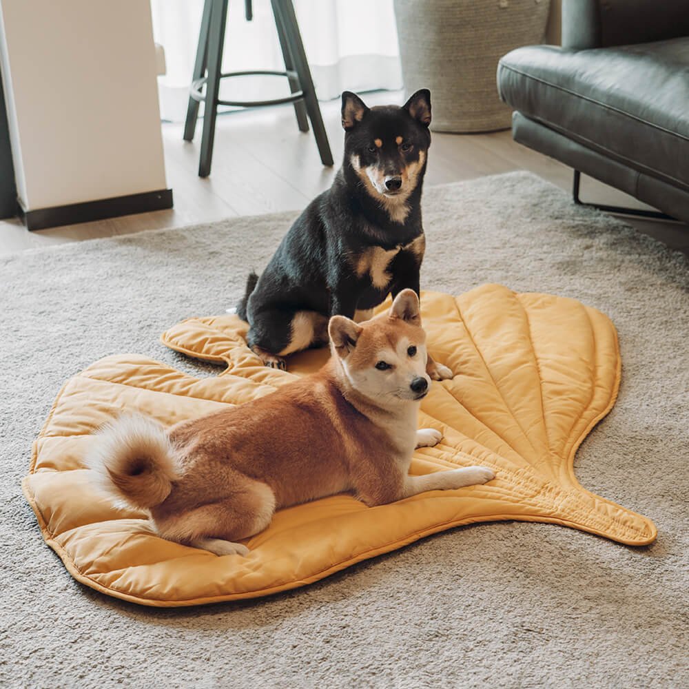 Hadley - Leaf-Shaped Dog Blanket in Cotton and Polyester