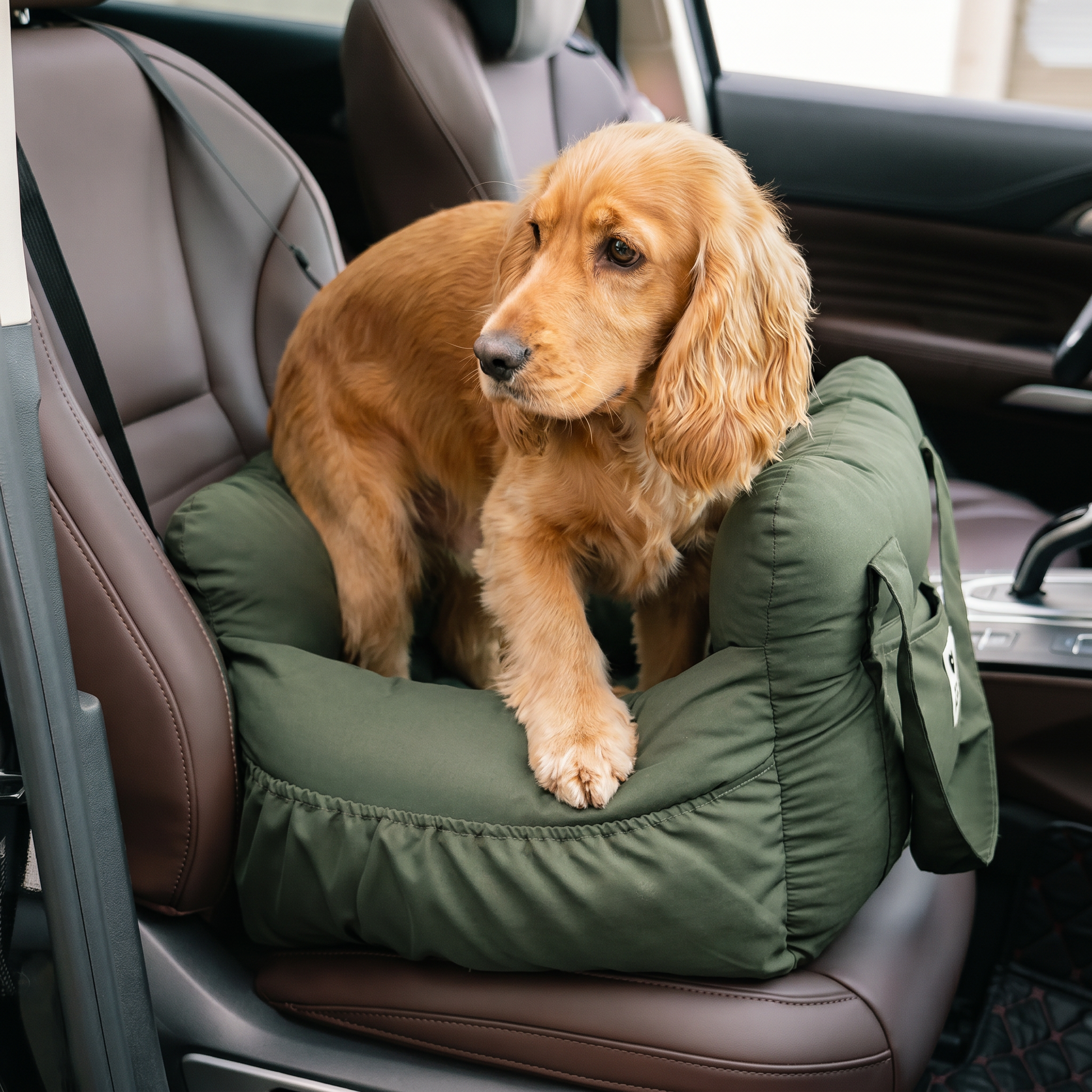 Grove dog car seat with Cocker Spaniel
