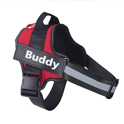 Brio - Personalised No-Pull Dog Harness with Engraved Nameplate
