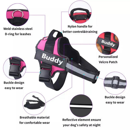 Brio - Personalised No-Pull Dog Harness with Engraved Nameplate