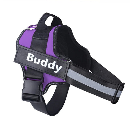 Brio - Personalised No-Pull Dog Harness with Engraved Nameplate