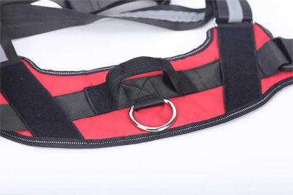 Brio - Personalised No-Pull Dog Harness with Engraved Nameplate