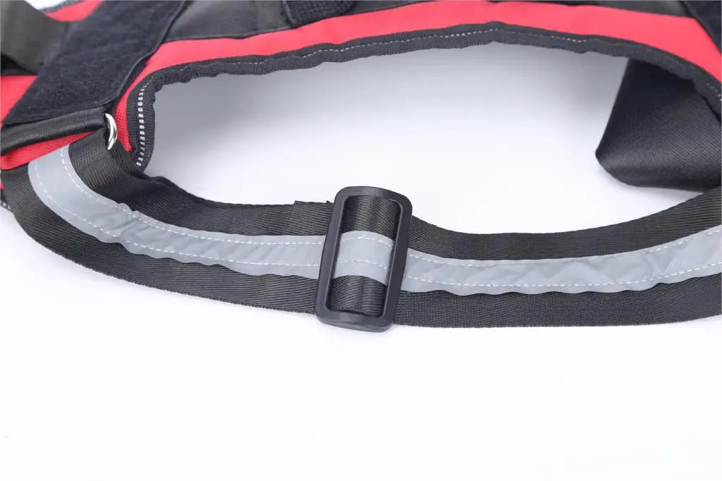 Brio - Personalised No-Pull Dog Harness with Engraved Nameplate