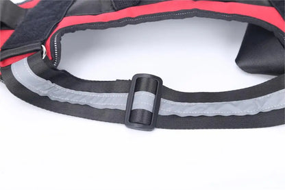 Brio - Personalised No-Pull Dog Harness with Engraved Nameplate