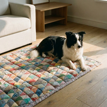Border Collie on quilted cotton sofa cover, living room, wide warm lifestyle shot