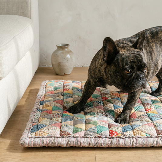 French Bulldog on cotton couch cover, living room, low angle close-up
