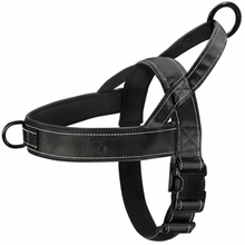 Higgle No-Pull Dog Harness Black (Medium)