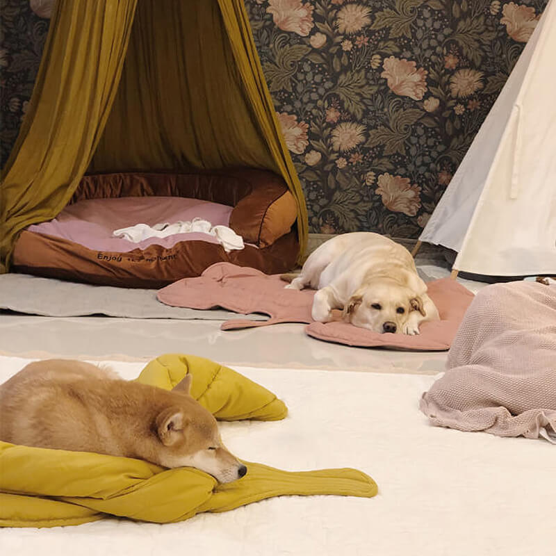 Hadley - Leaf-Shaped Dog Blanket in Cotton and Polyester