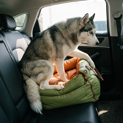 Siberian Husky in dog car seat booster, low angle close-up, car interior
