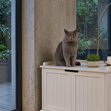 HideAway Cat Litter Cabinet And Indoor Cat Enclosure