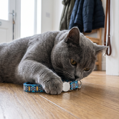 Reef personalised cat collar with British Shorthair