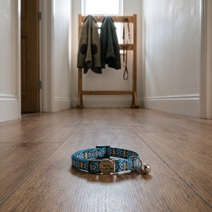 Reef personalised cat collar — studio lifestyle