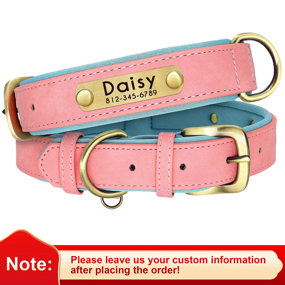 Birch - Custom Engraved Leather Dog Collar, Adjustable All Sizes