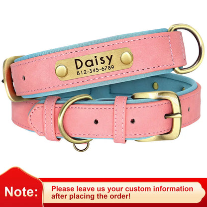 Birch - Custom Engraved Leather Dog Collar, Adjustable All Sizes