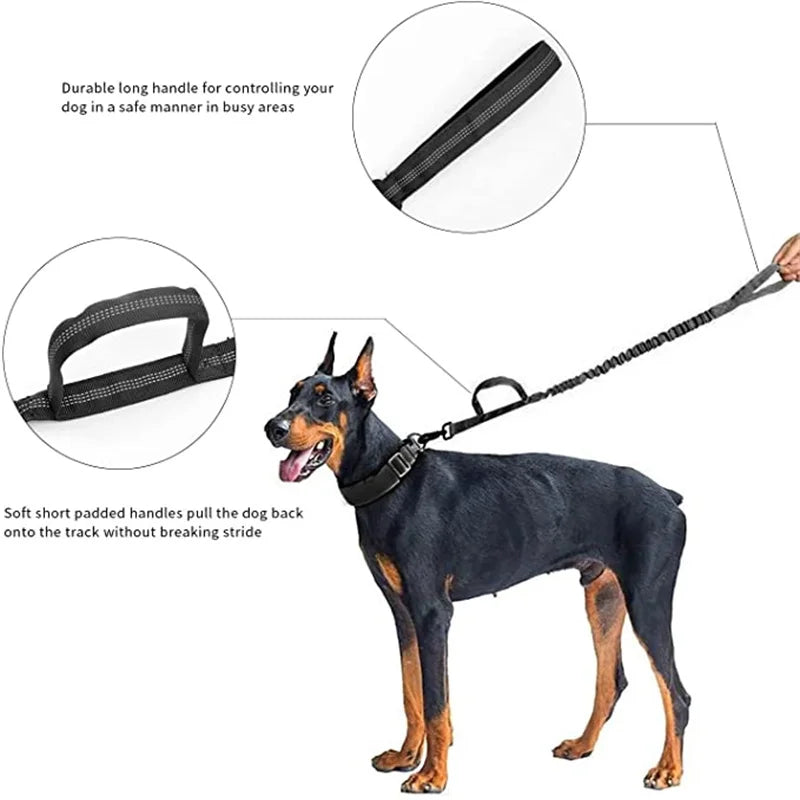 Cedar - Heavy Duty Tactical Dog Collar with Control Handle, 1000D Nylon