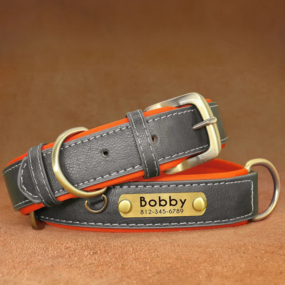 Birch - Custom Engraved Leather Dog Collar, Adjustable All Sizes