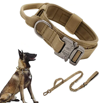 Cedar - Heavy Duty Tactical Dog Collar with Control Handle, 1000D Nylon
