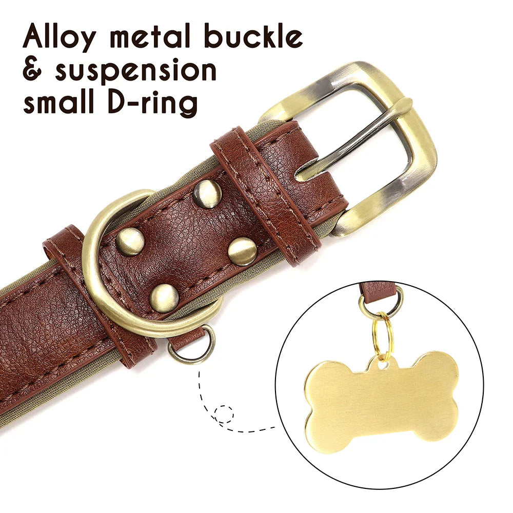 Birch - Custom Engraved Leather Dog Collar, Adjustable All Sizes