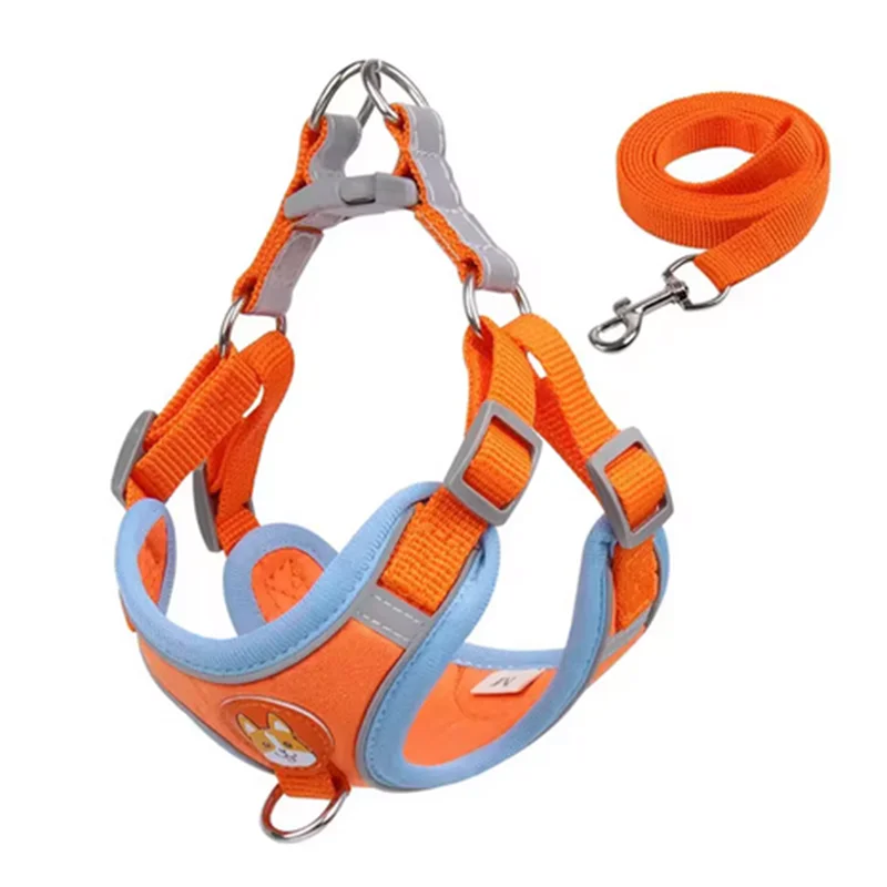 Derwent - No-Pull Dog Harness and Leash Set for Small Dogs