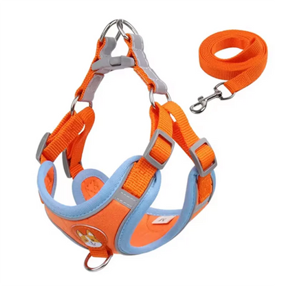 Derwent - No-Pull Dog Harness and Leash Set for Small Dogs
