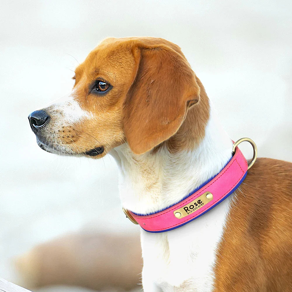 Birch - Custom Engraved Leather Dog Collar, Adjustable All Sizes