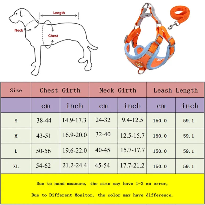 Derwent - No-Pull Dog Harness and Leash Set for Small Dogs