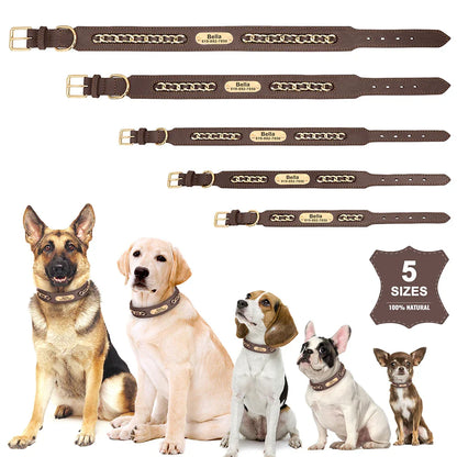 Avon - Personalised Leather Dog Collar with Engraved Nameplate